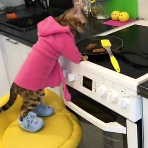 Meet your Posher, John